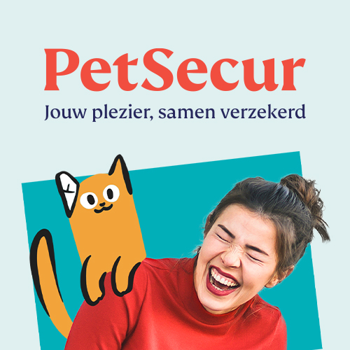 Verzekering voor kat of hond