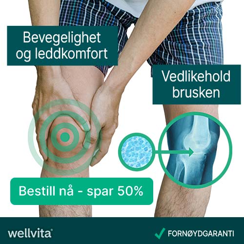 Wellvita fremstiller produkter som bidrar til økt livskvalitet. 