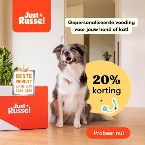 Just Russel is een Belgische startup in gepersonaliseerde honden- en kattenvoeding. Ieder dier is uniek en heeft andere noden. Aan de hand van het ras, leeftijd, geslacht, conditie en activiteit stelt Just Russel een voedingsplan samen op maat van jouw hond of kat.