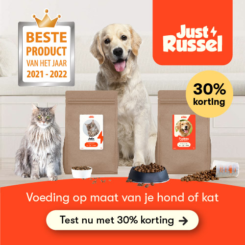 Just Russel is een Belgische startup in gepersonaliseerde honden- en kattenvoeding. Ieder dier is uniek en heeft andere noden. Aan de hand van het ras, leeftijd, geslacht, conditie en activiteit stelt Just Russel een voedingsplan samen op maat van jouw hond of kat.
