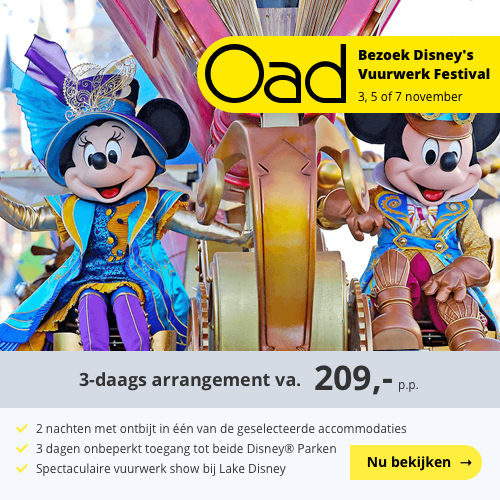 Disneyland vuurwerkfestival